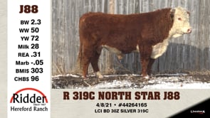 Lot #J88 - R 319C NORTH STAR J88