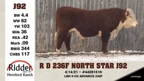 Lot #J92 - R D 236F NORTH STAR J92