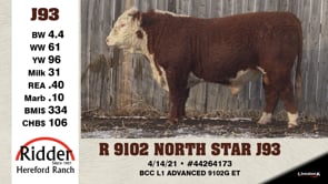 Lot #J93 - R 9102 NORTH STAR J93
