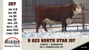 Lot #J97 - R 623 NORTH STAR J97