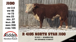 Lot #J100 - R 4105 NORTH STAR J100