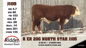 Lot #J105 - R ER 20G NORTH STAR J105