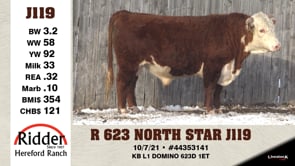 Lot #J119 - R 623 NORTH STAR J119