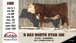 Lot #10K - R 623 NORTH STAR 10K
