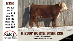 Lot #22K - R 236F NORTH STAR 22K