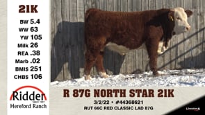 Lot #21K - R 87G NORTH STAR 21K