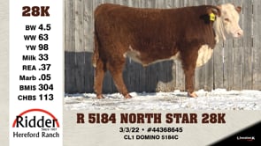 Lot #28K - R 5184 NORTH STAR 28K