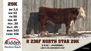 Lot #29K - OUT -- R 236F NORTH STAR 29K