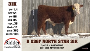 Lot #31K - R 236F NORTH STAR 31K