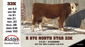 Lot #33K - R 87G NORTH STAR 33K