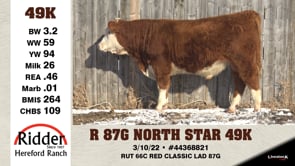 Lot #49K - R 87G NORTH STAR 49K