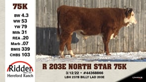 Lot #75K - OUT -- R 203E NORTH STAR 75K