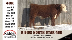 Lot #48K - R 9102 NORTH STAR 48K