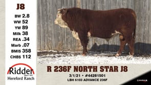 Lot #J8 - R 236F NORTH STAR J8