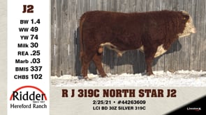 Lot #J2 - R J 319C NORTH STAR J2