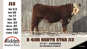 Lot #J13 - R 4105 NORTH STAR J13