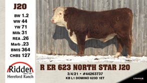Lot #J20 - R ER 623 NORTH STAR J20