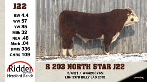 Lot #J22 - R 203 NORTH STAR J22