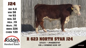 Lot #J24 - R 623 NORTH STAR J24