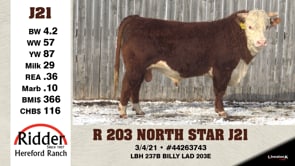 Lot #J21 - R 203 NORTH STAR J21