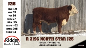 Lot #J25 - R 319C NORTH STAR J25