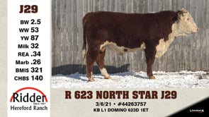 Lot #J29 - R 623 NORTH STAR J29