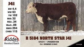 Lot #J41 - OUT -- R 5184 NORTH STAR J41