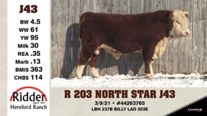 Lot #J43 - R 203 NORTH STAR J43