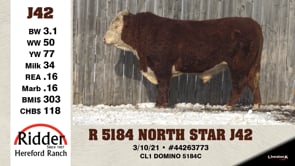 Lot #J42 - R 5184 NORTH STAR J42