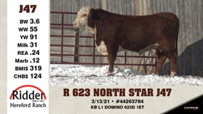 Lot #J47 - R 623 NORTH STAR J47