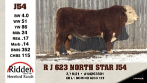 Lot #J54 - OUT -- R J 623 NORTH STAR J54