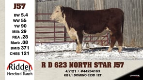 Lot #J57 - R D 623 NORTH STAR J57
