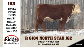Lot #J62 - R 8184 NORTH STAR J62