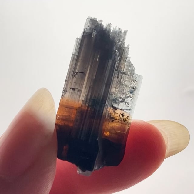 Dravite Tourmaline (unique bi-colored crystal)