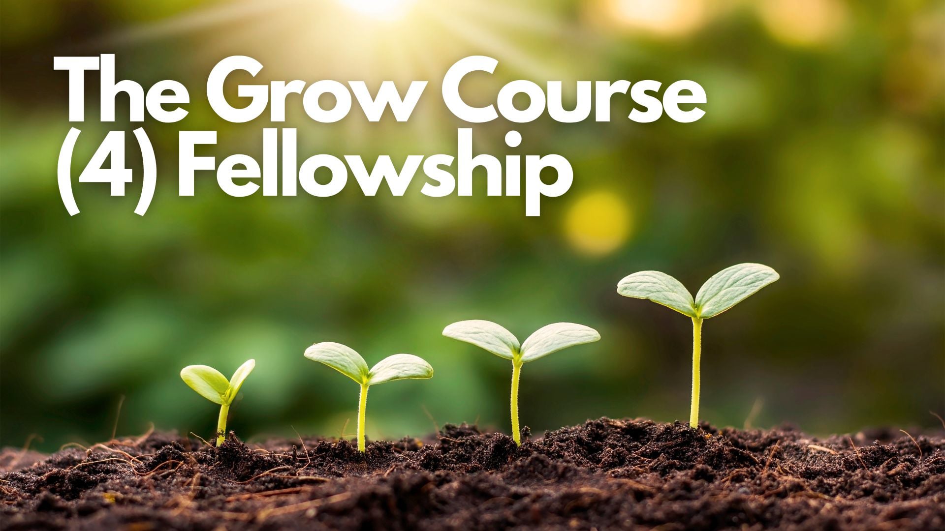 The Grow Course 4 - Fellowship