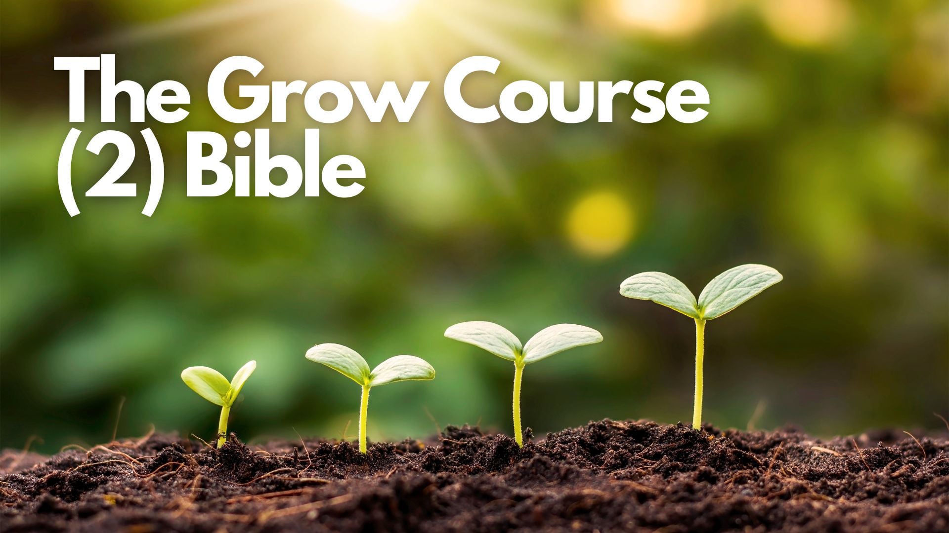 Grow Course 2 - Bible
