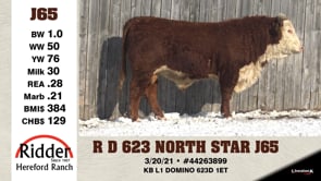 Lot #J65 - R D 623 NORTH STAR J65