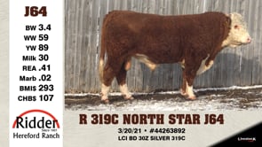 Lot #J64 - R 319C NORTH STAR J64