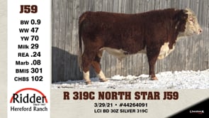 Lot #J59 - R 319C NORTH STAR J59