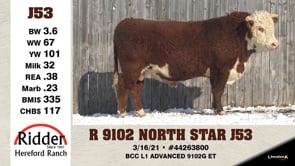 Lot #J53 - R 9102 NORTH STAR J53