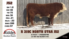 Lot #J52 - R 319C NORTH STAR J52