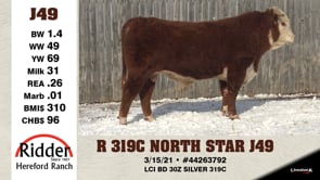 Lot #J49 - R 319C NORTH STAR J49