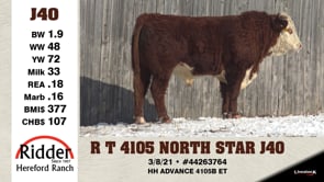 Lot #J40 - R T 4105 NORTH STAR J40