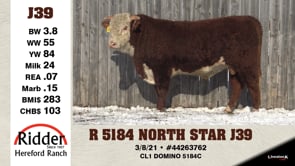 Lot #J39 - R 5184 NORTH STAR J39