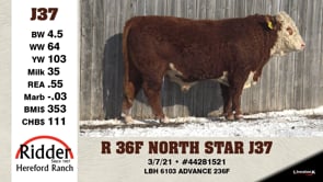 Lot #J37 - R 36F NORTH STAR J37