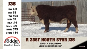 Lot #J35 - R 236F NORTH STAR J35