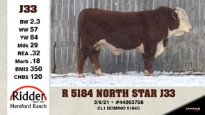 Lot #J33 - R 5184 NORTH STAR J33