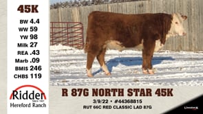 Lot #45K - R 87G NORTH STAR 45K
