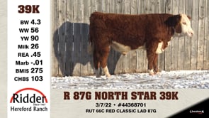Lot #39K - R 87G NORTH STAR 39K