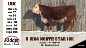Lot #16K - R 5184 NORTH STAR 16K